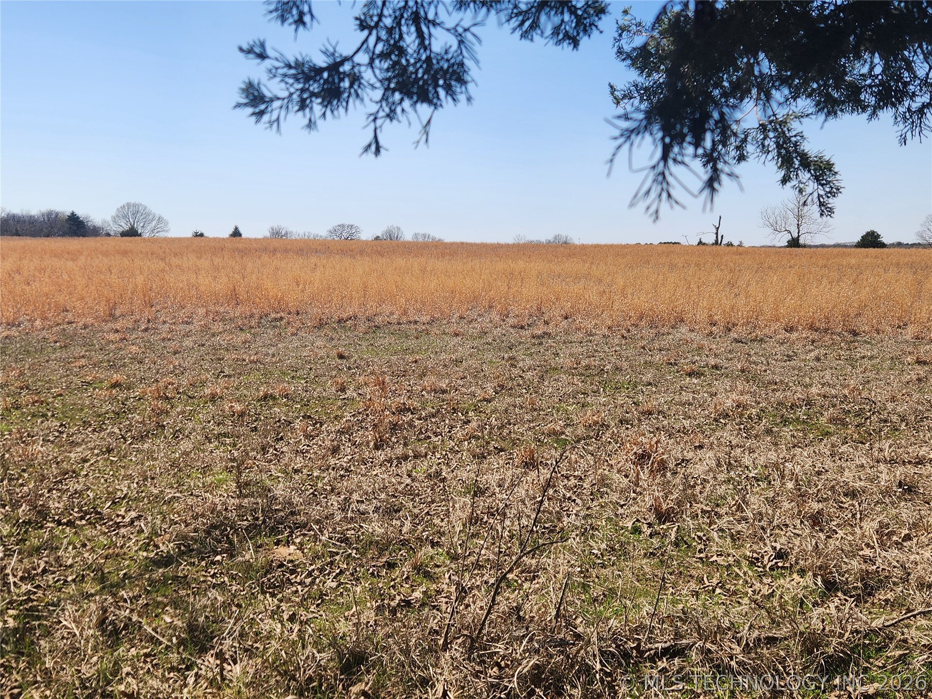 S Research Road Property Photo 3