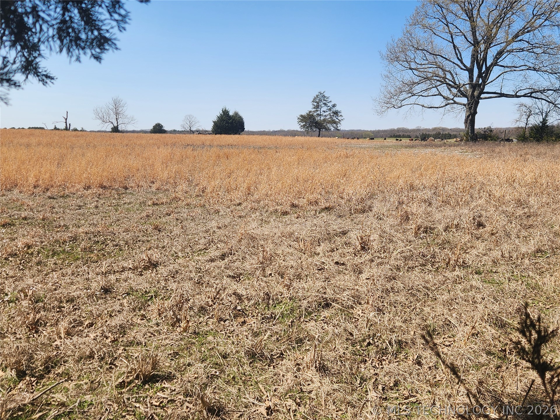 S Research Road Property Photo 4