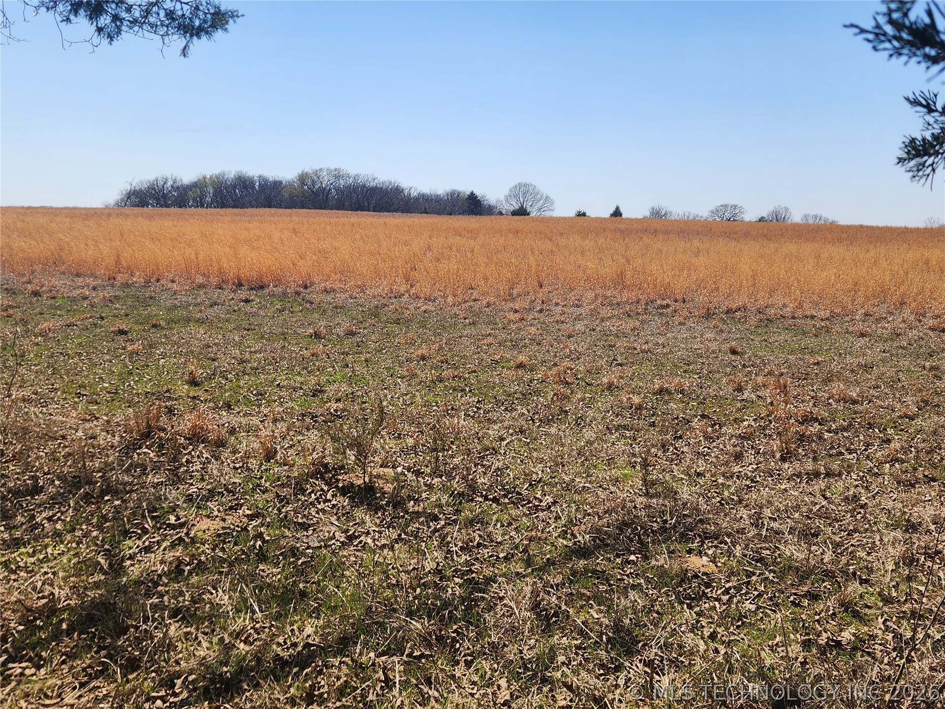 S Research Road Property Photo 5