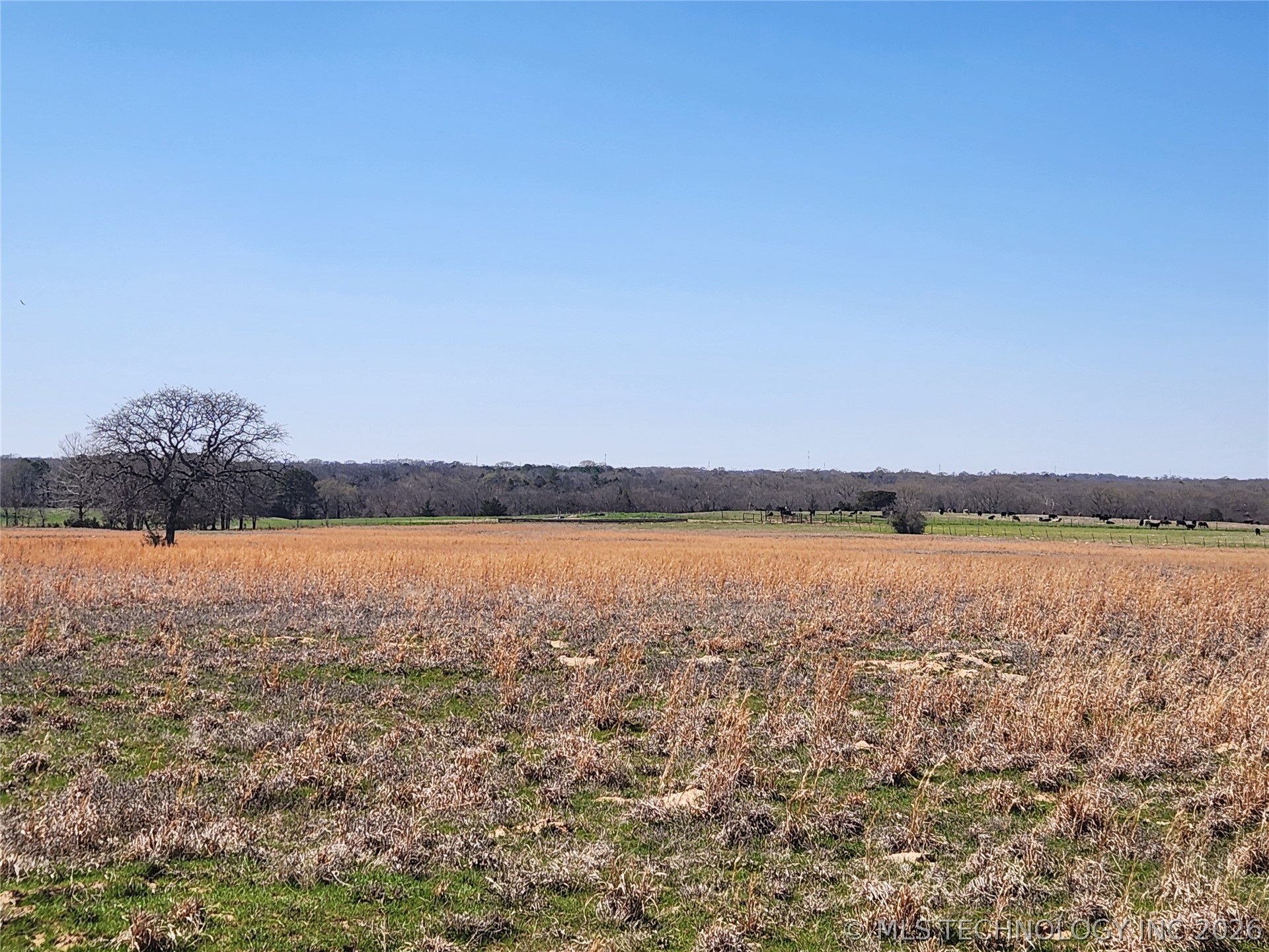 S Research Road Property Photo 7