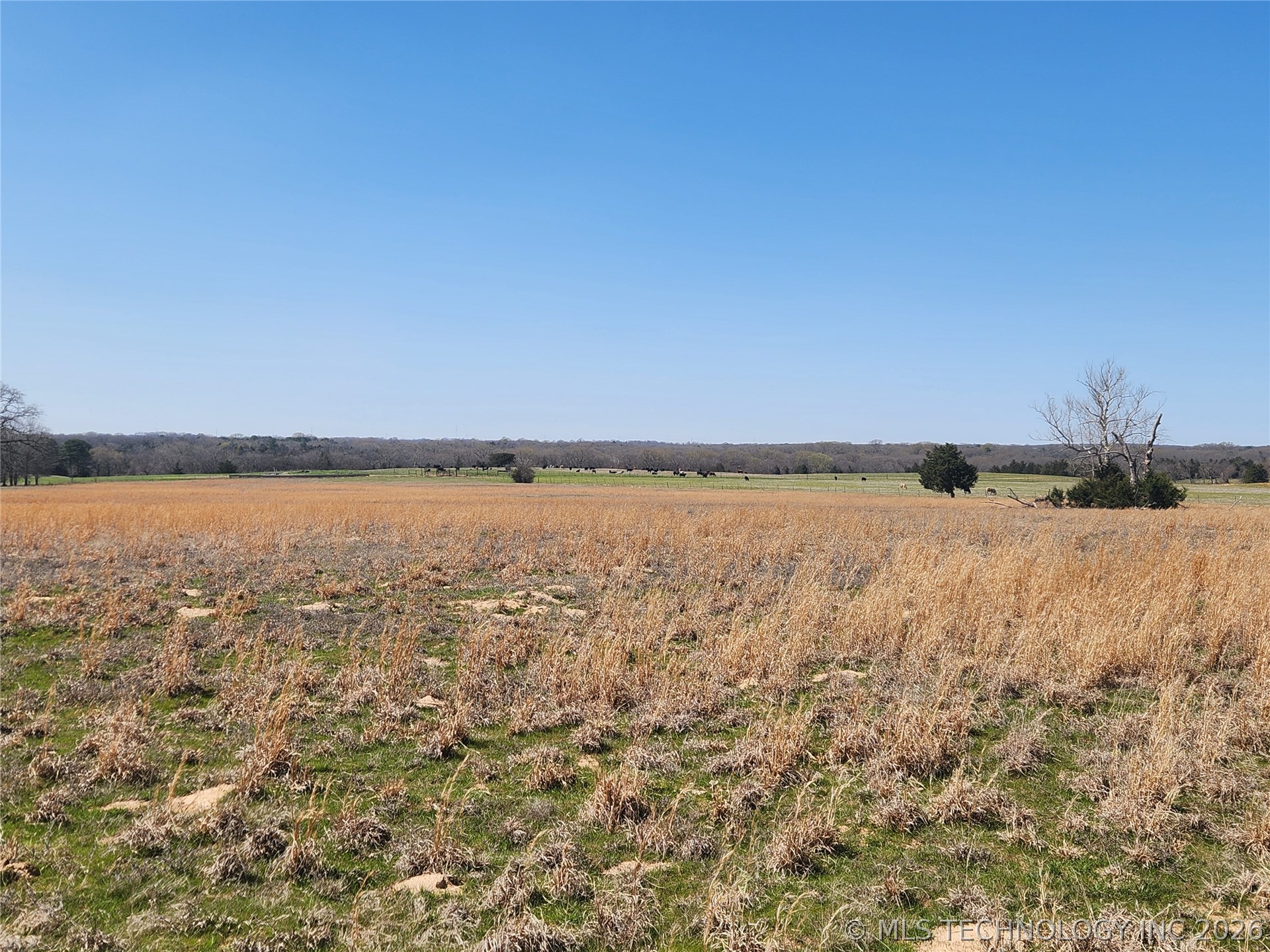 S Research Road Property Photo 9