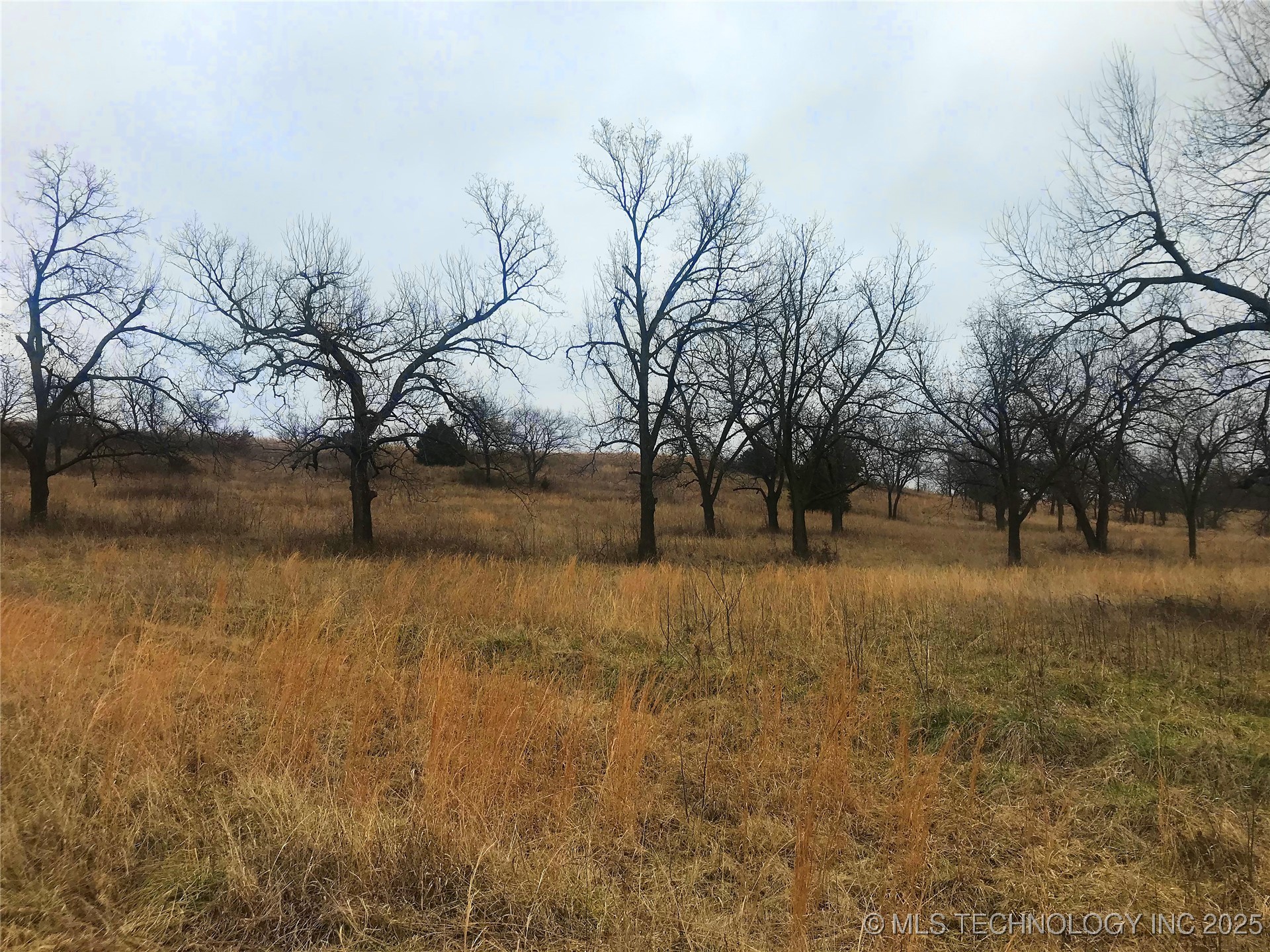 12933 S 33rd West Avenue Property Photo 15
