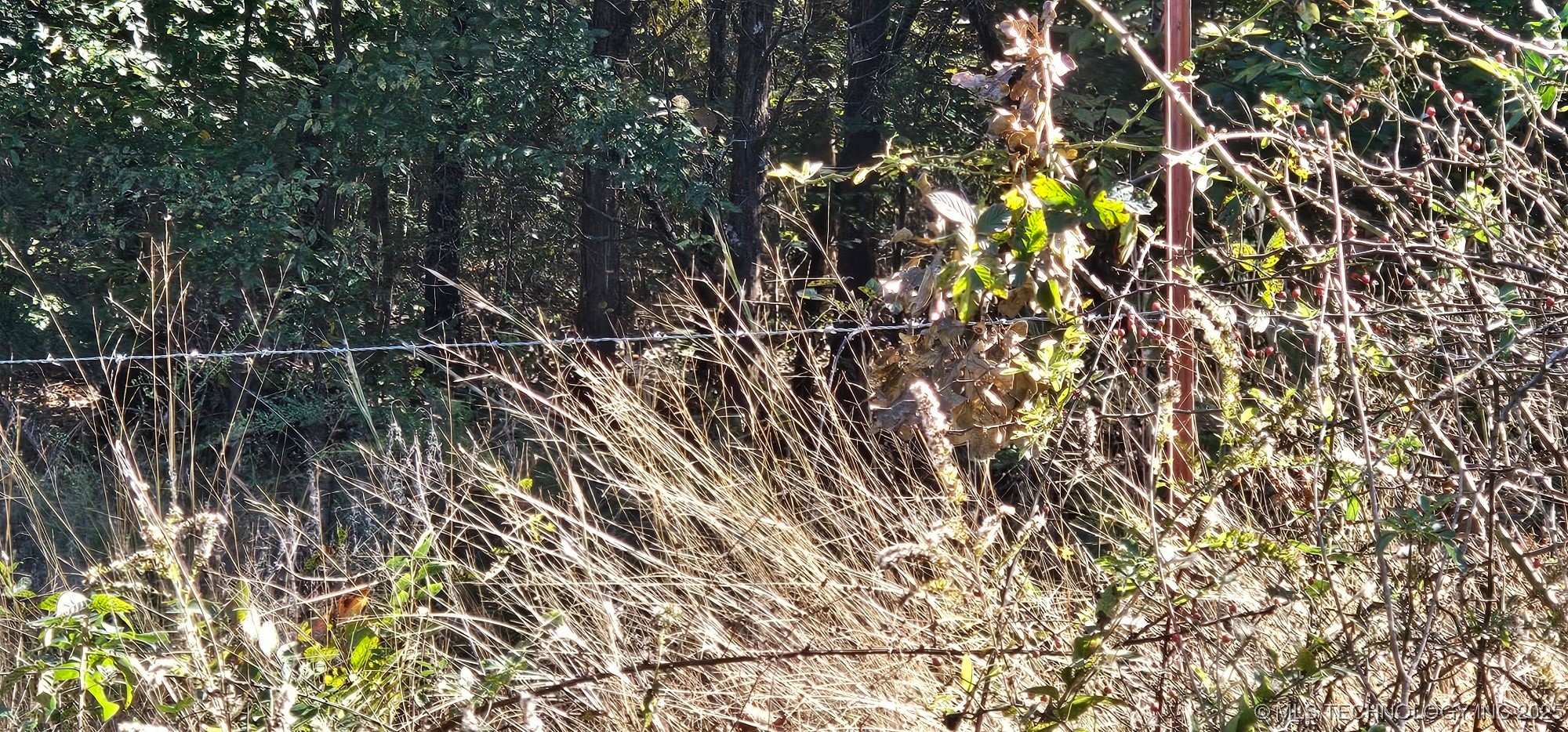 000000 E 1030 Road Property Photo 7