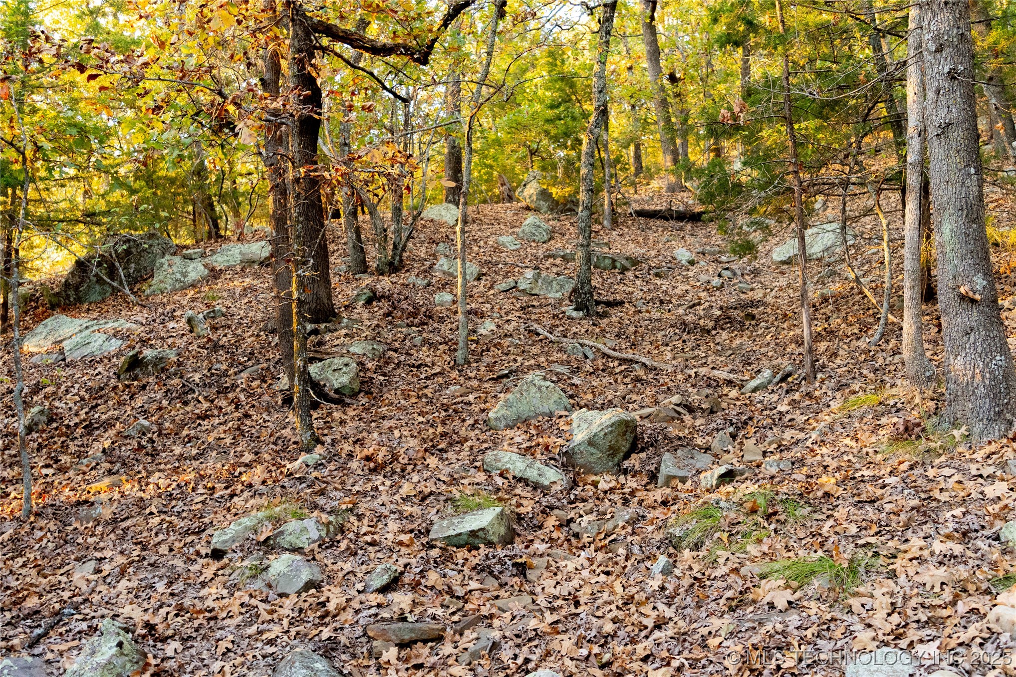 1400 Blocker Road Property Photo 6