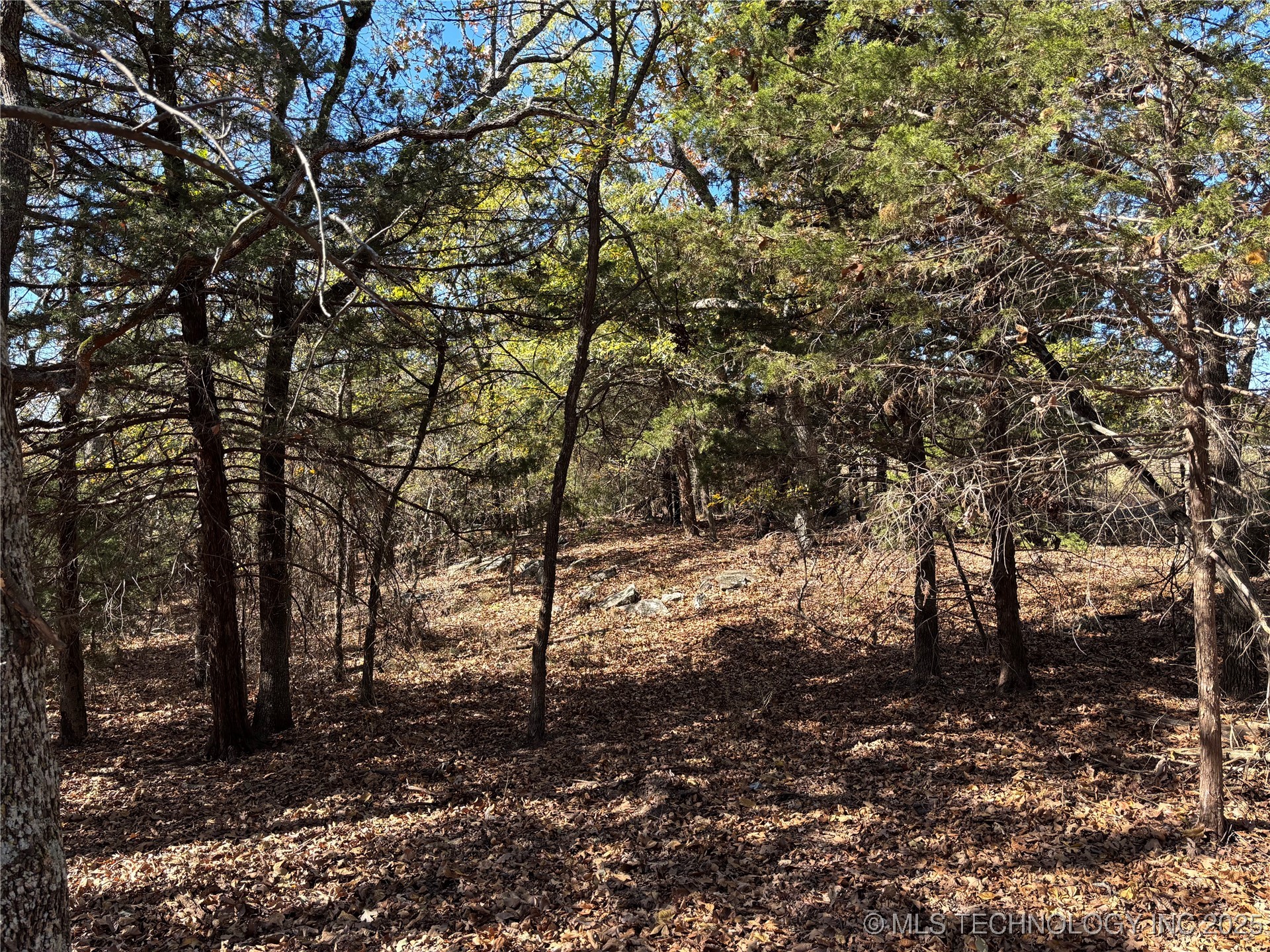 1400 Blocker Road Property Photo 7