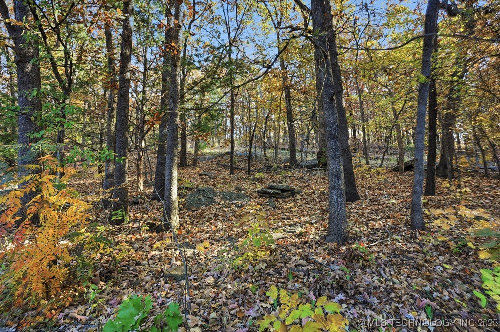 7411 S Urbana Avenue Property Photo 72