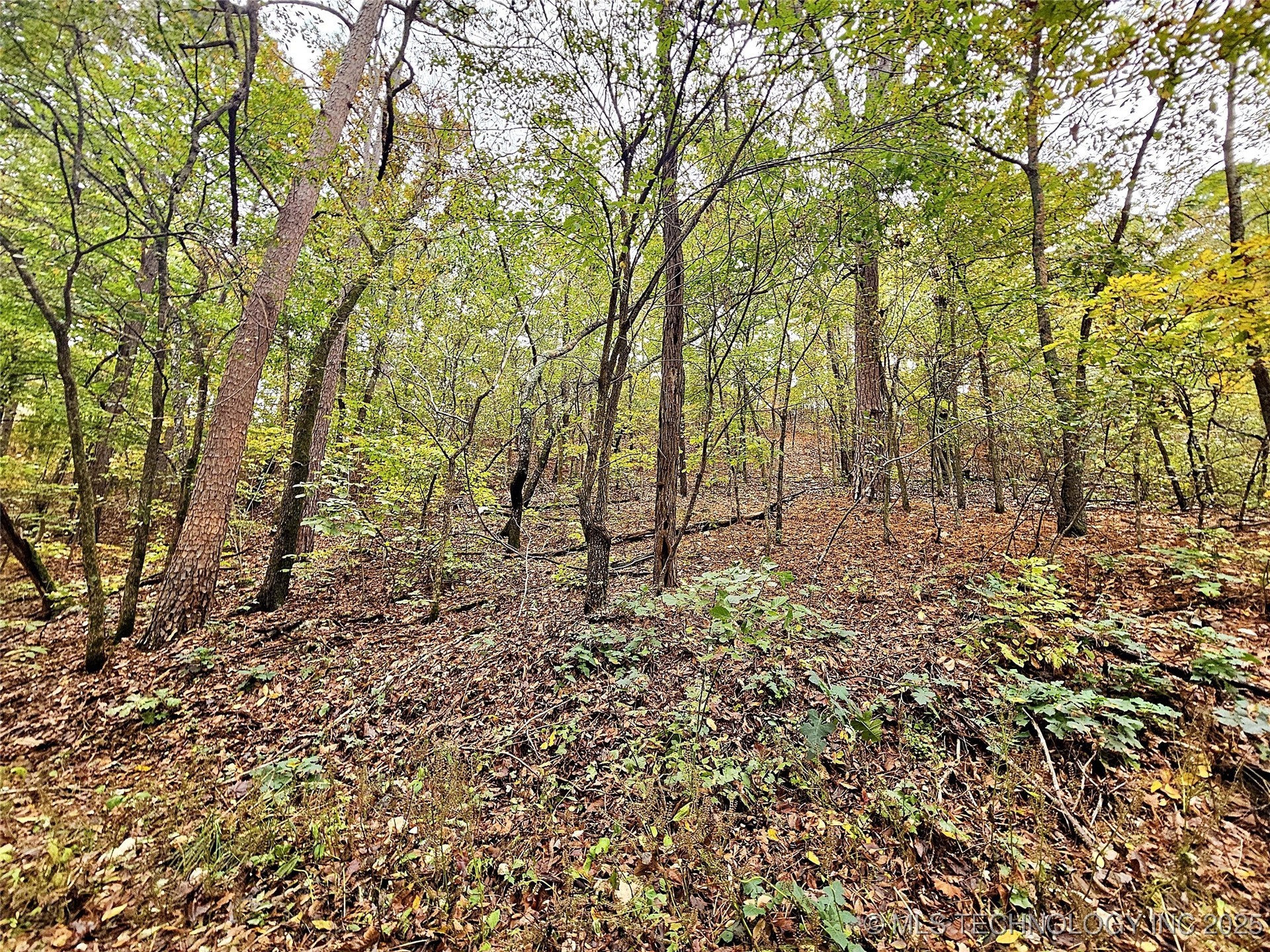 0000 S 4760 Road Property Photo 3