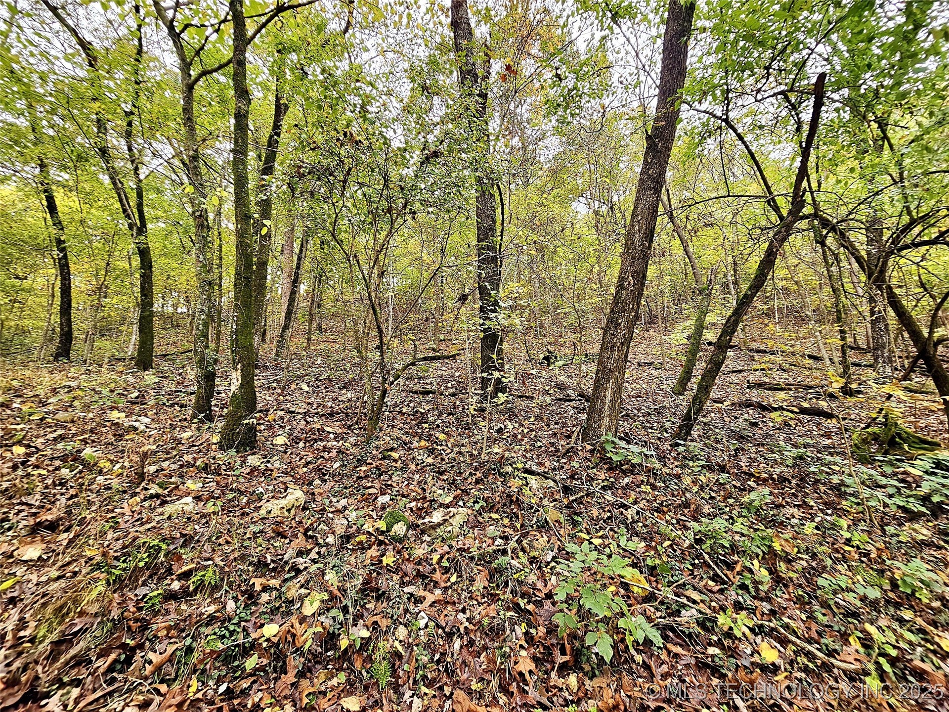 0000 S 4760 Road Property Photo 6