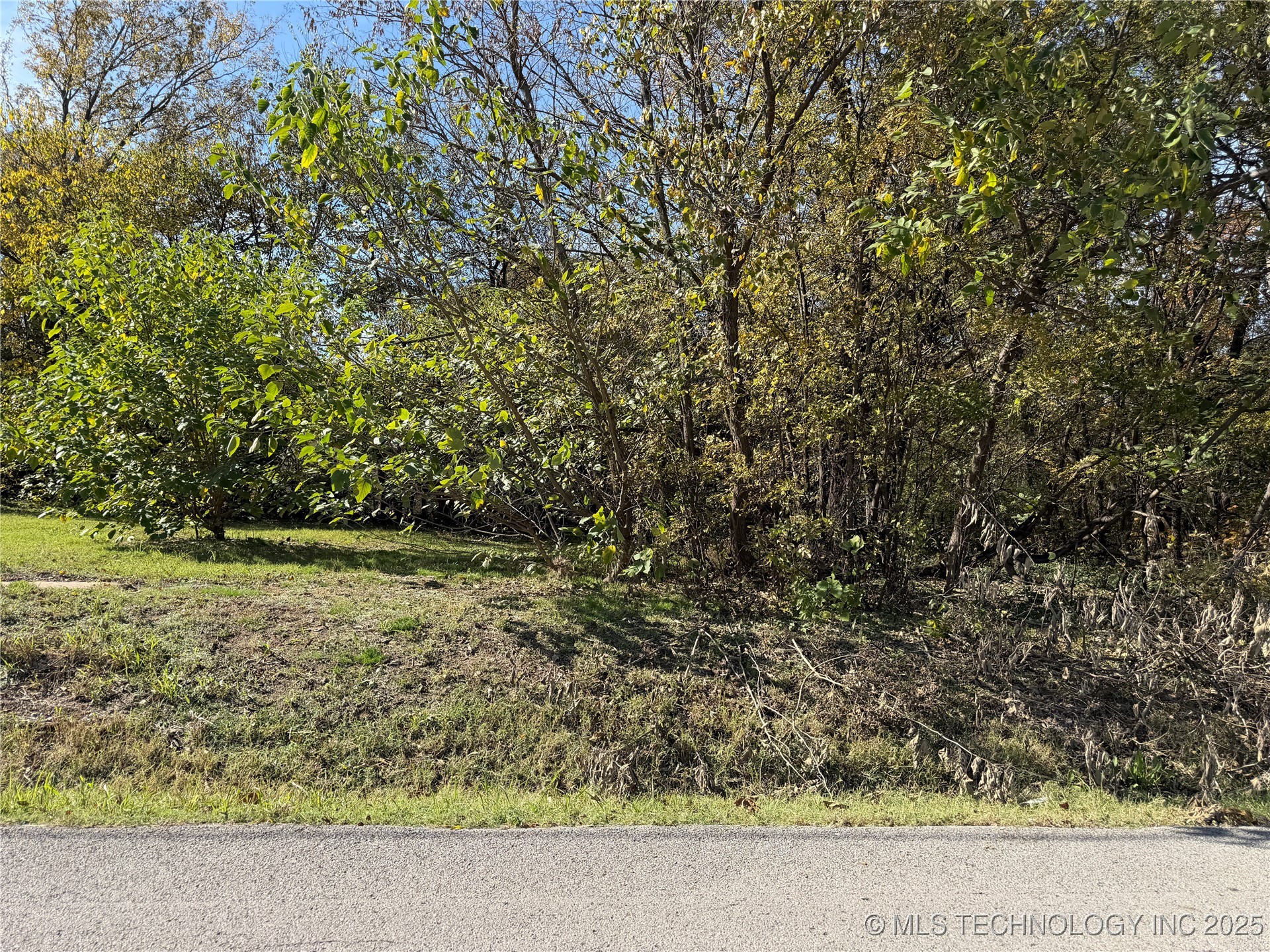 303 N Smith Avenue Property Photo 1