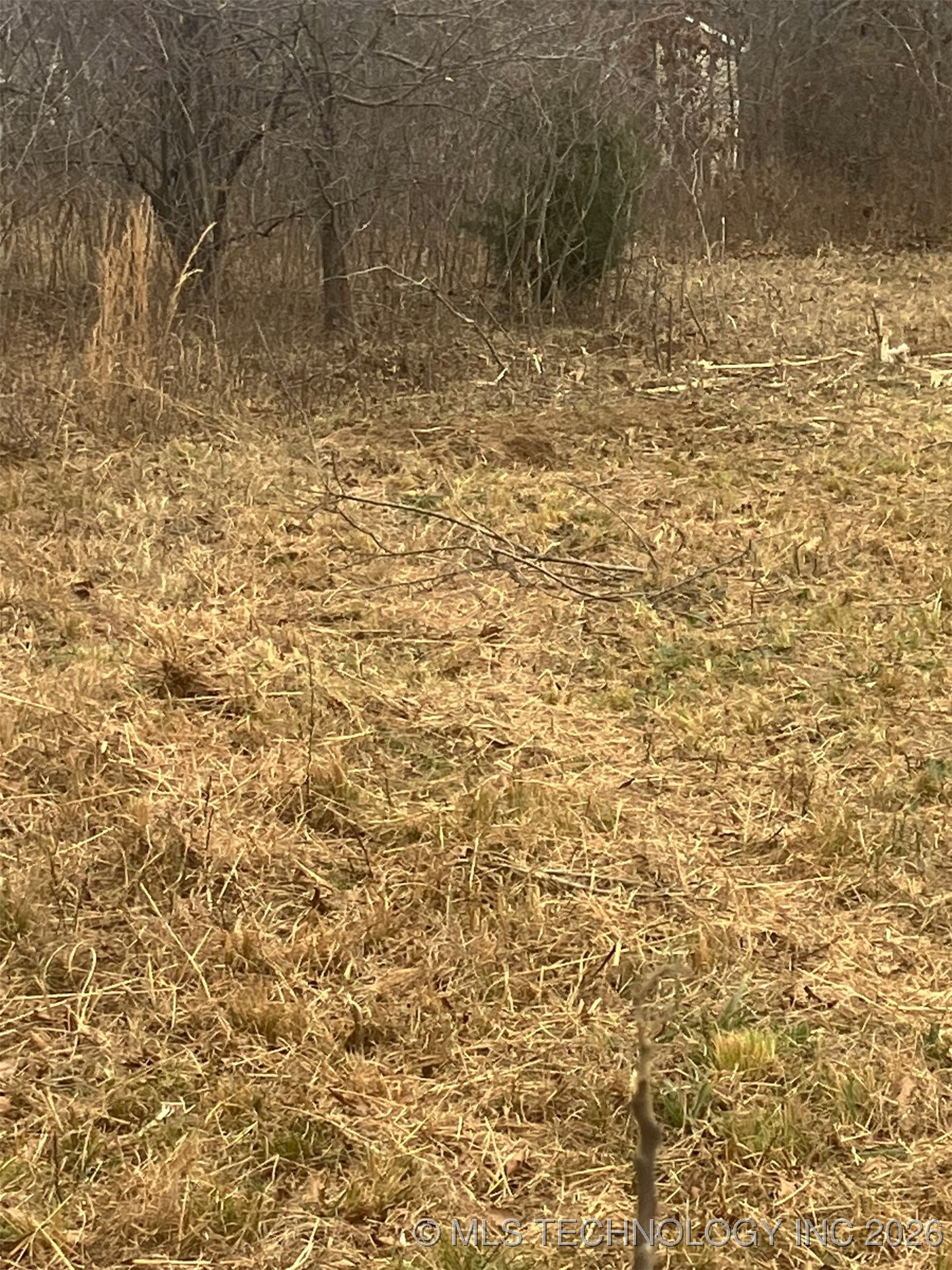 4715 State Hwy 20 Property Photo 6