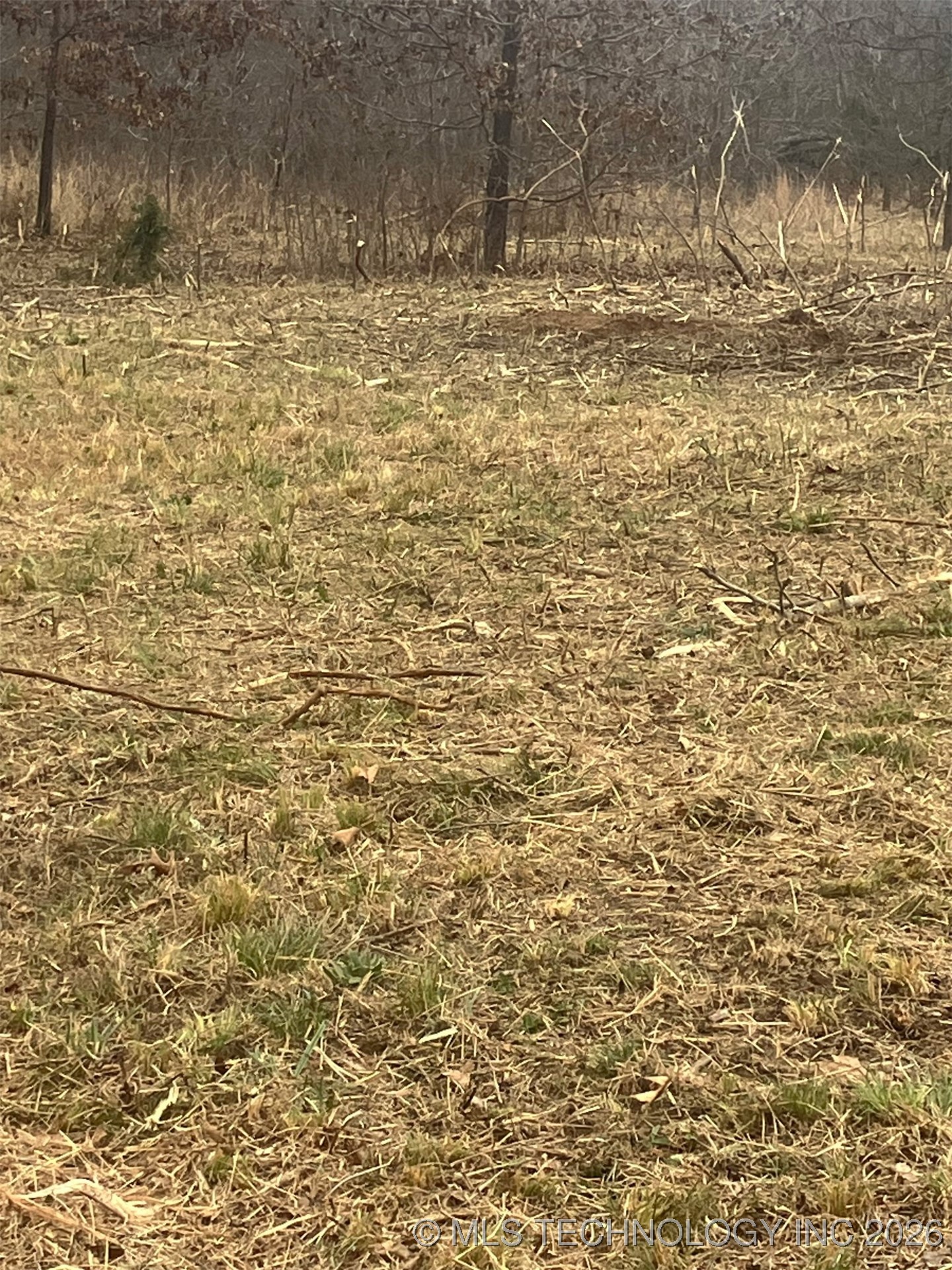 4715 State Hwy 20 Property Photo 12