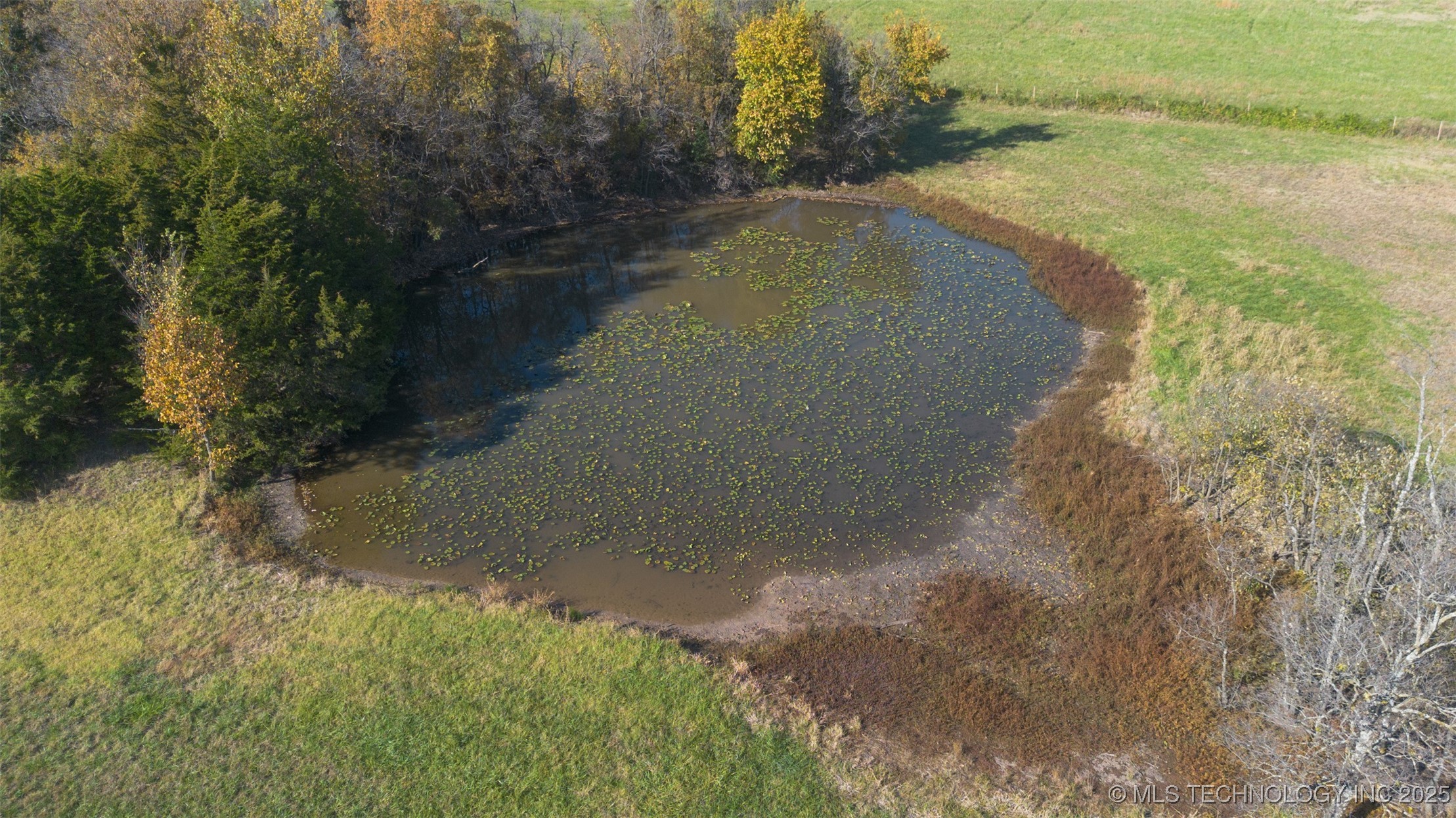 00000 S Highway 125 Property Photo 8