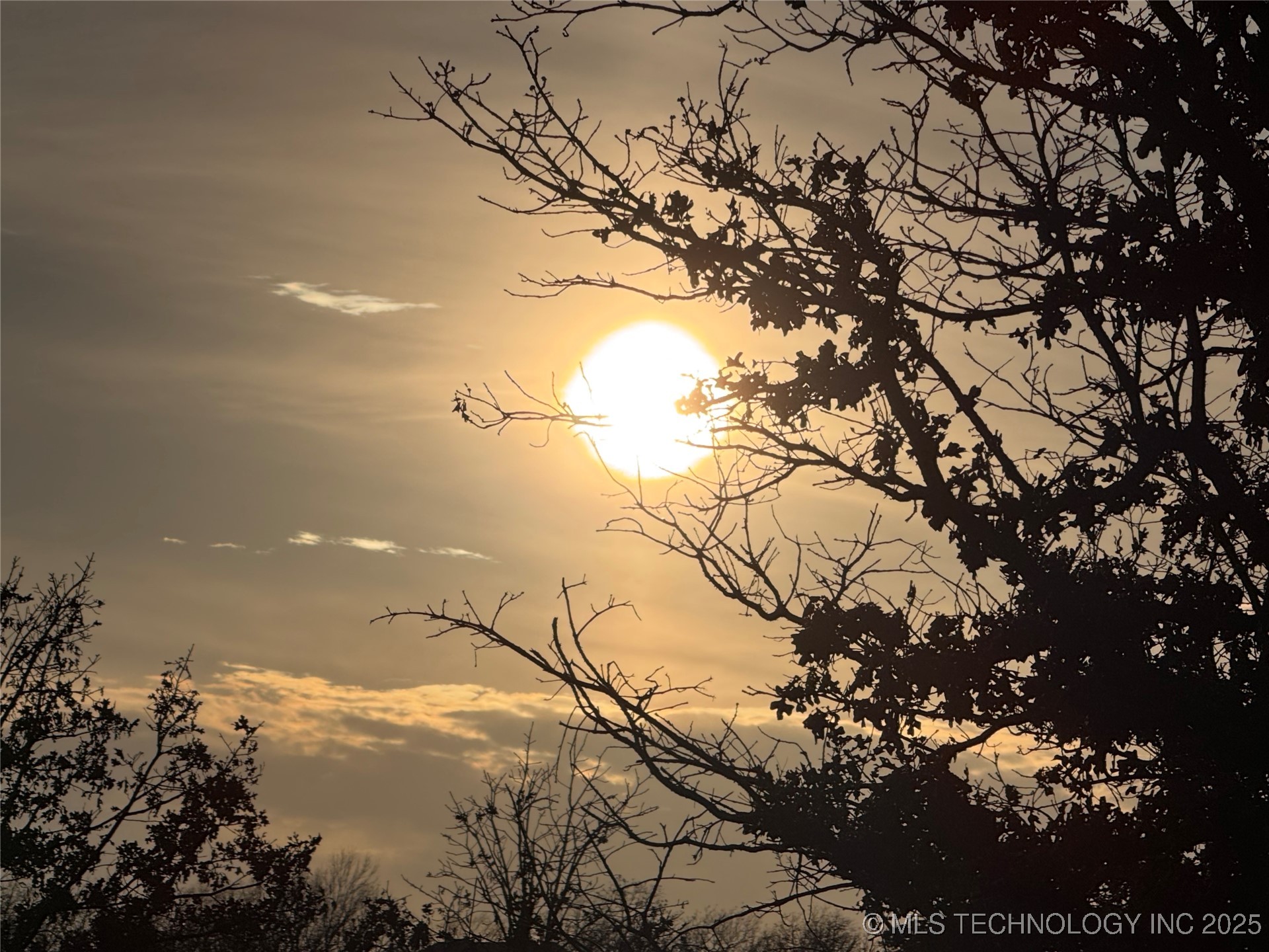 4195 Lake Road Property Photo 5