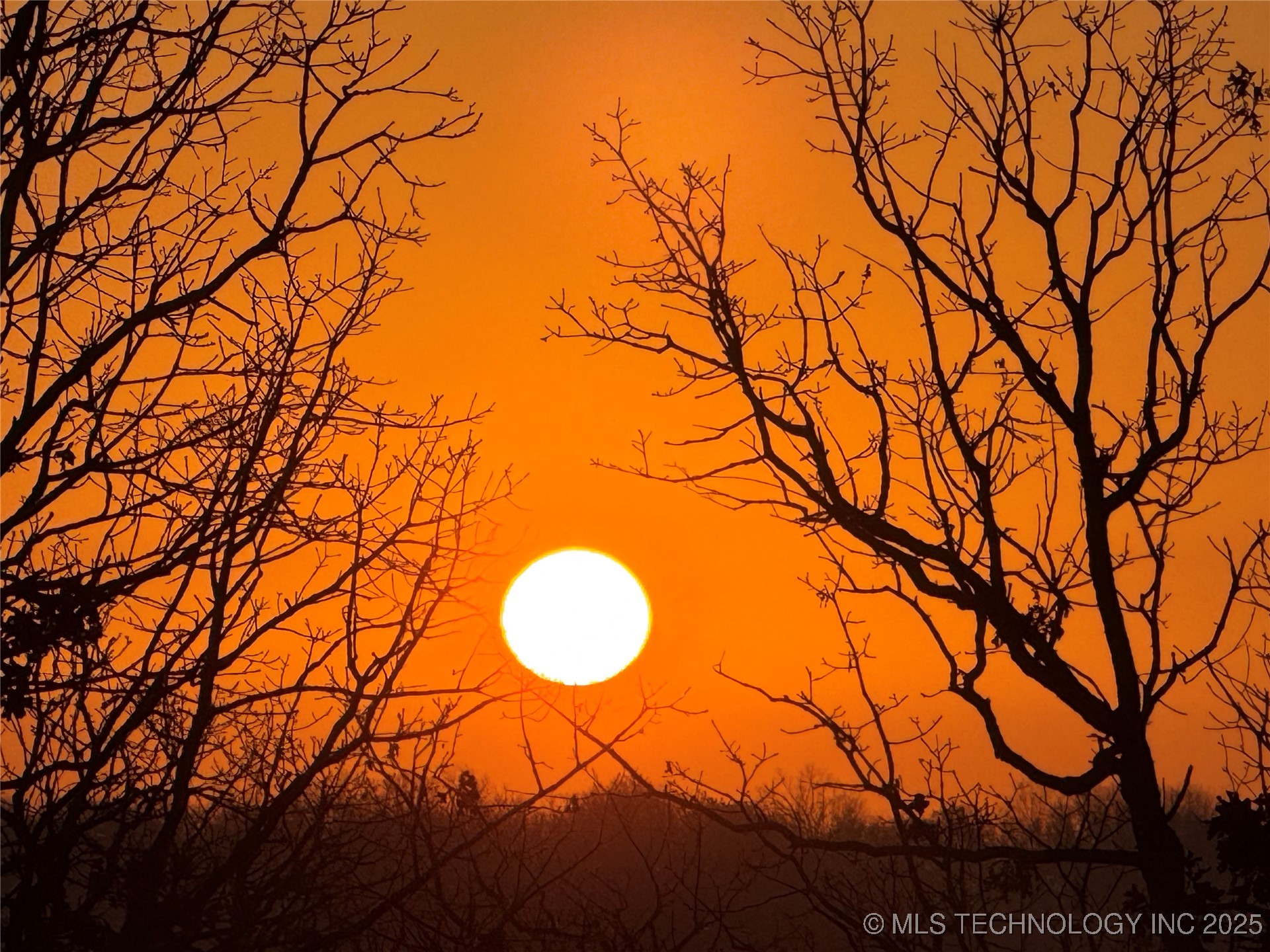 4195 Lake Road Property Photo 7