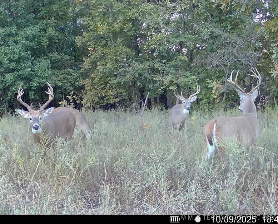 33rd Street Property Photo 4