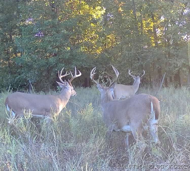 33rd Street Property Photo 8