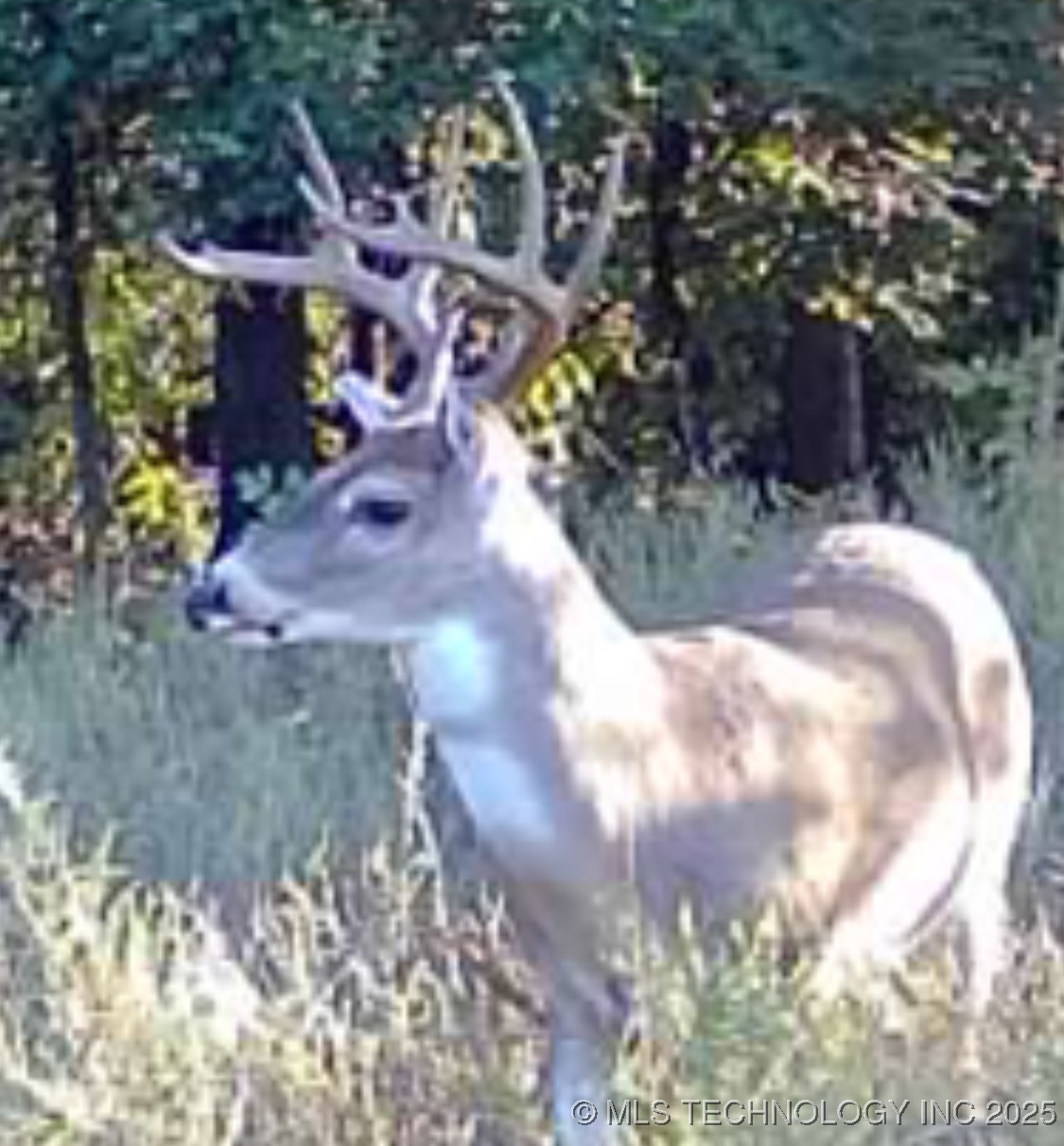 33rd Street Property Photo 11