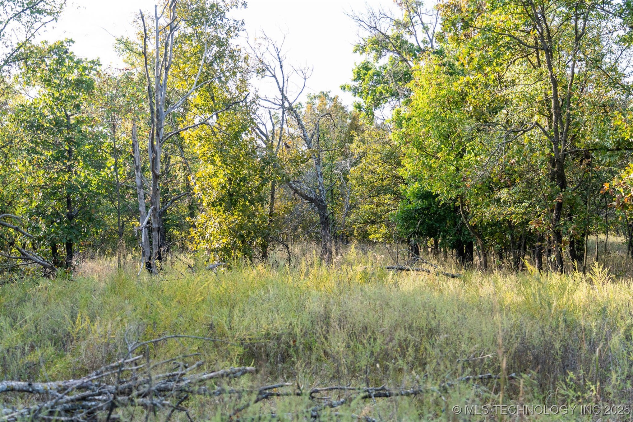 33rd Street Property Photo 14