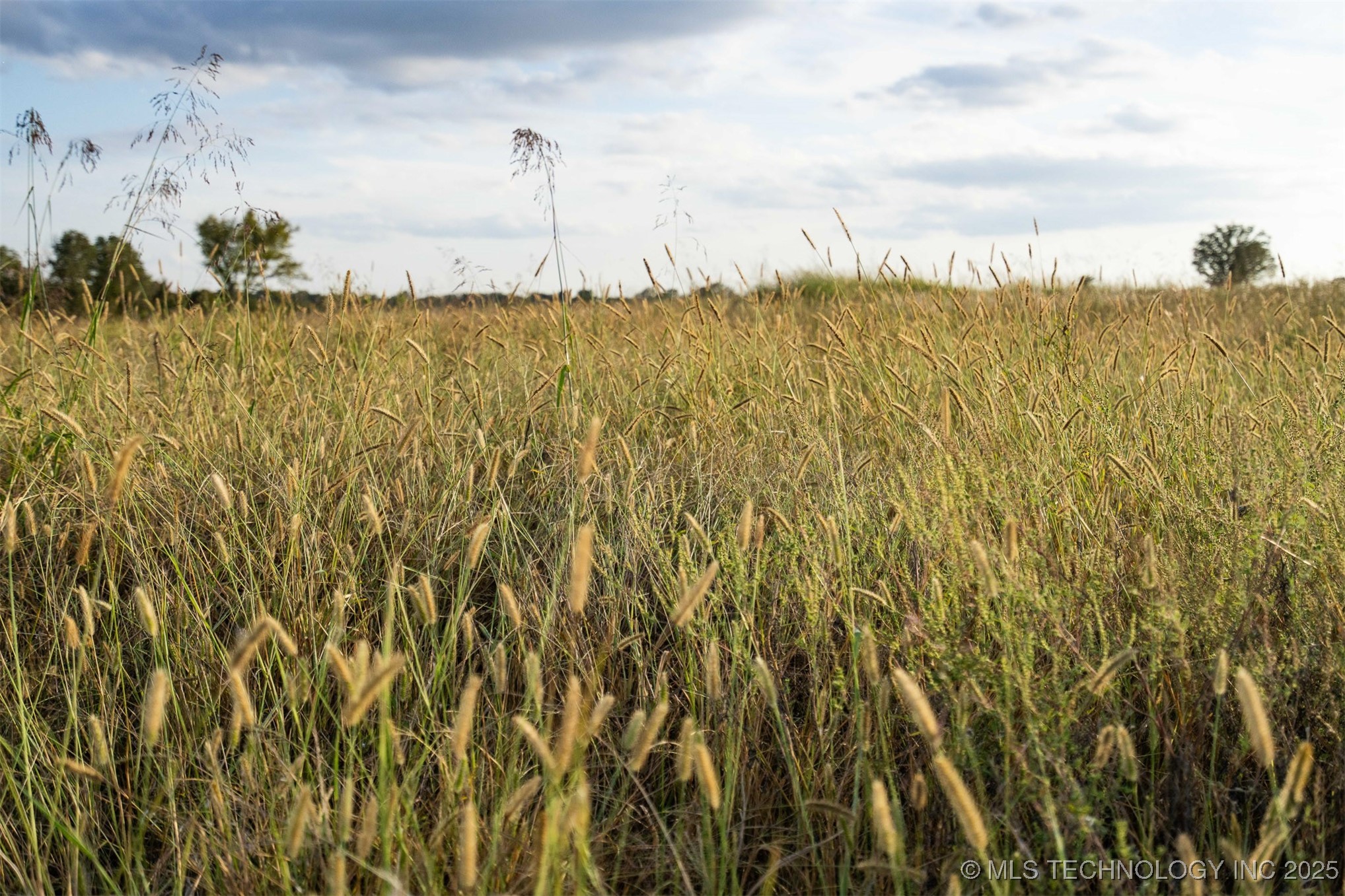 33rd Street Property Photo 16