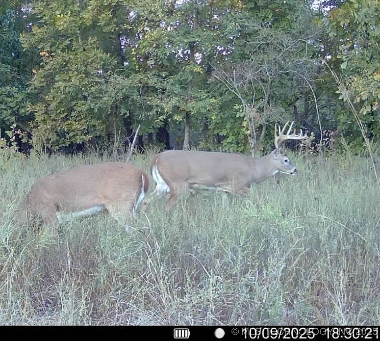 33rd Street Property Photo 17