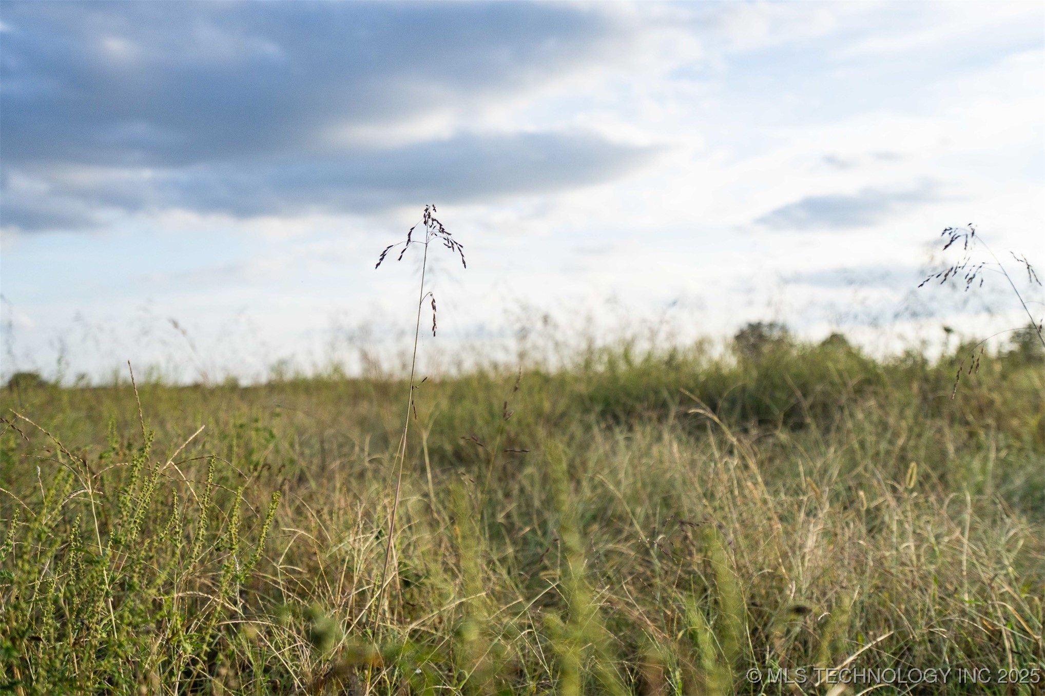 33rd Street Property Photo 19