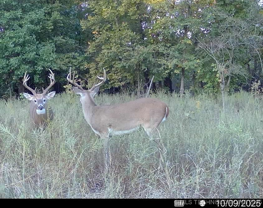 33rd Street Property Photo 22