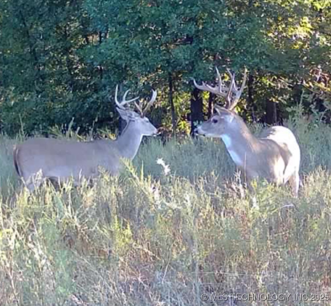 33rd Street Property Photo 30