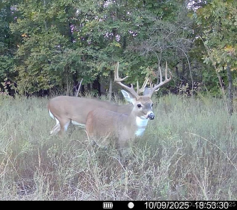 33rd Street Property Photo 34