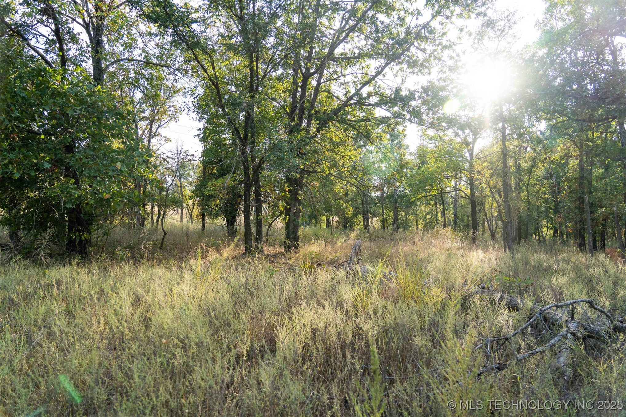 33rd Street Property Photo 36