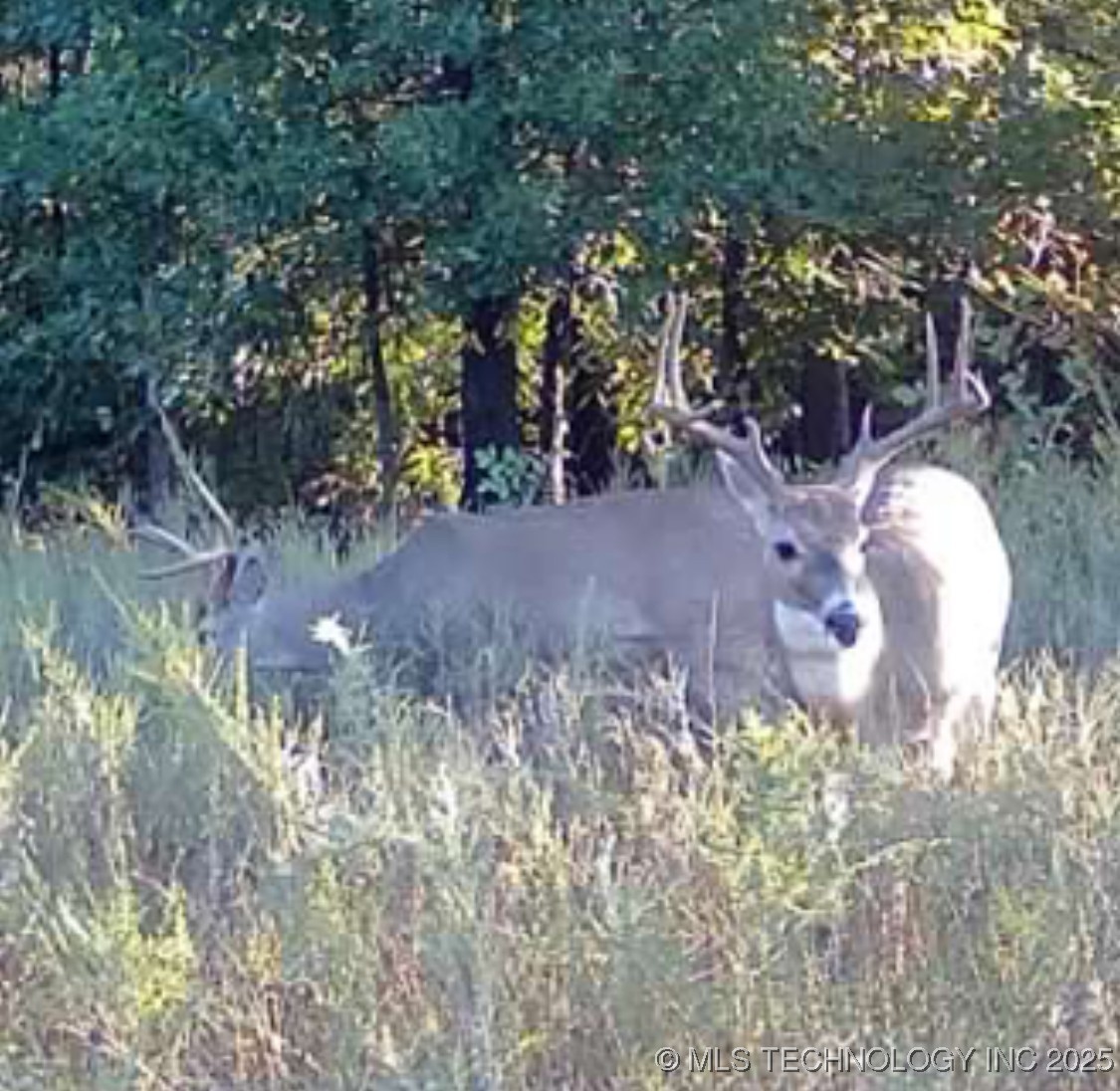 33rd Street Property Photo 37