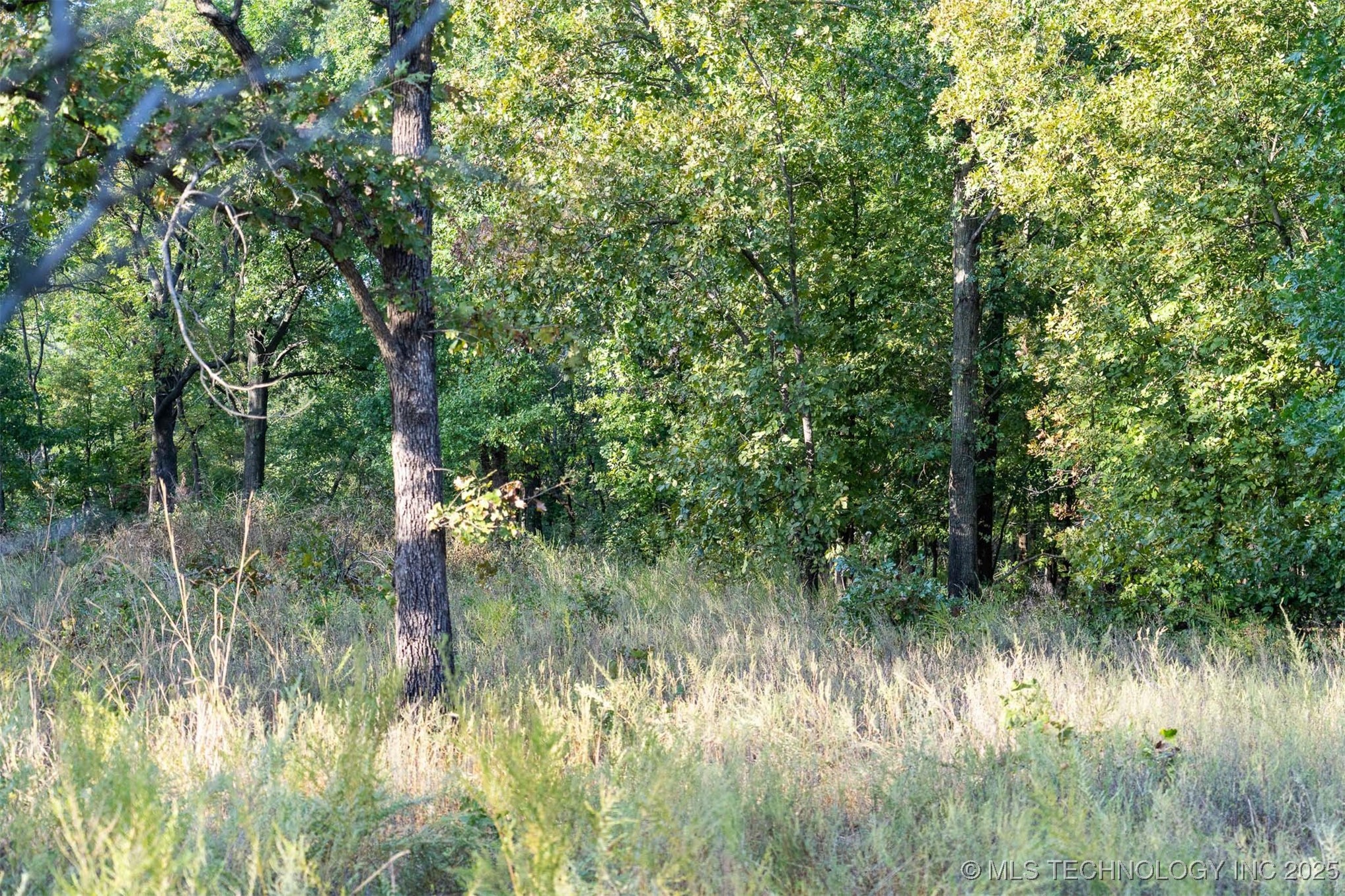 33rd Street Property Photo 39