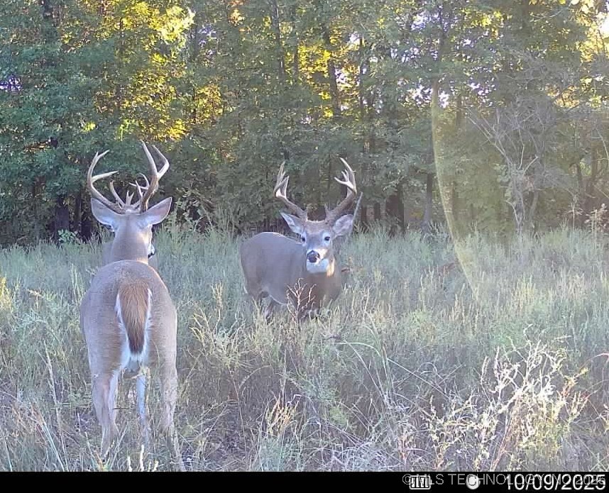 33rd Street Property Photo 40