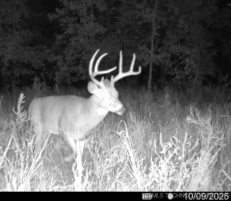 33rd Street Property Photo 45