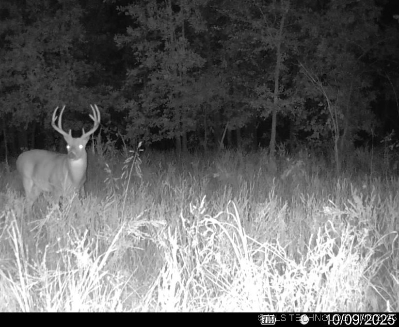 33rd Street Property Photo 48