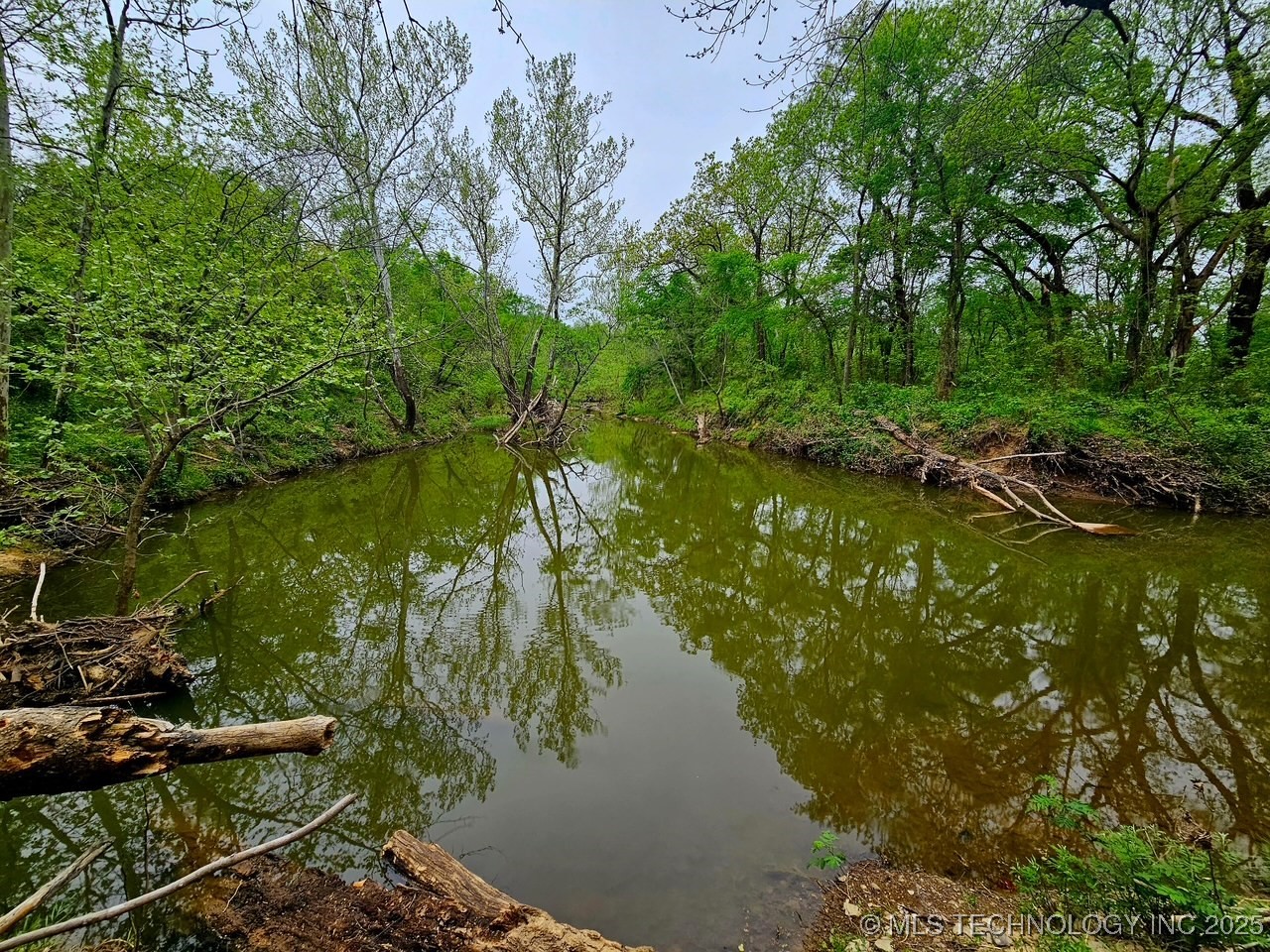 24 Holly Road Property Photo 1