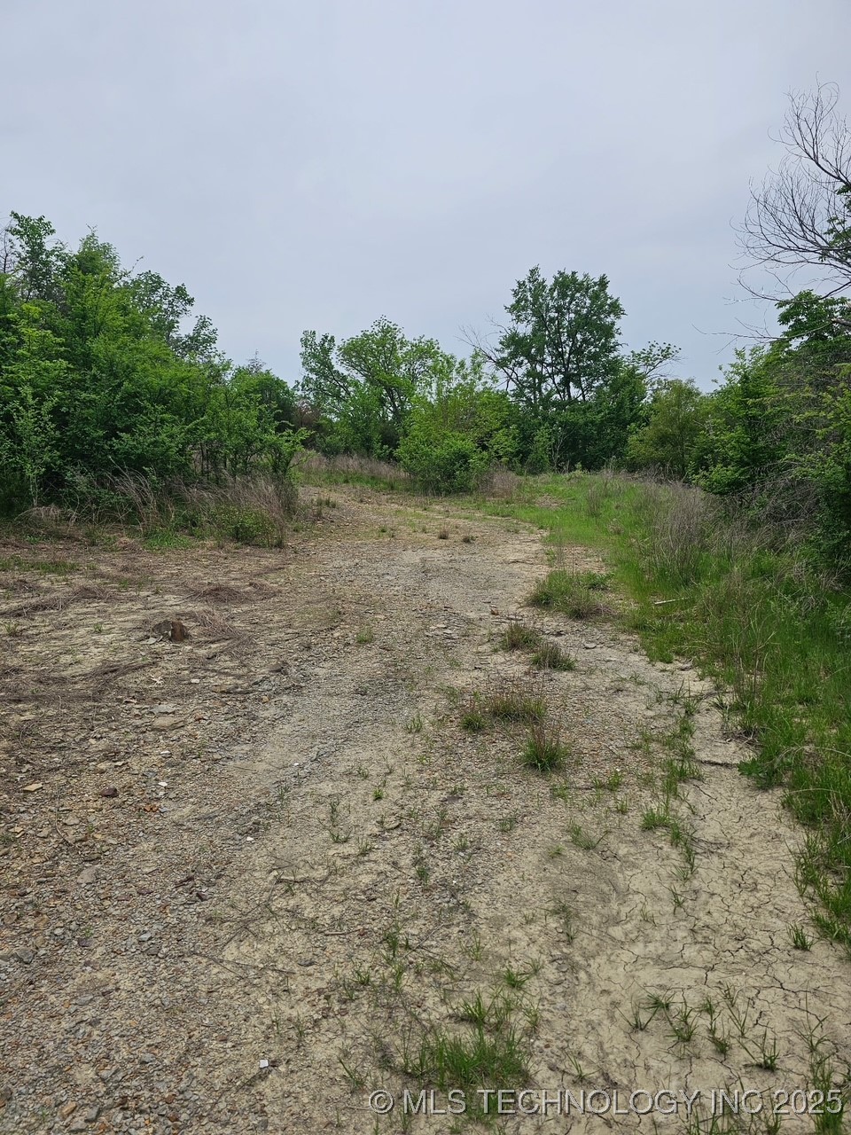 24 Holly Road Property Photo 2