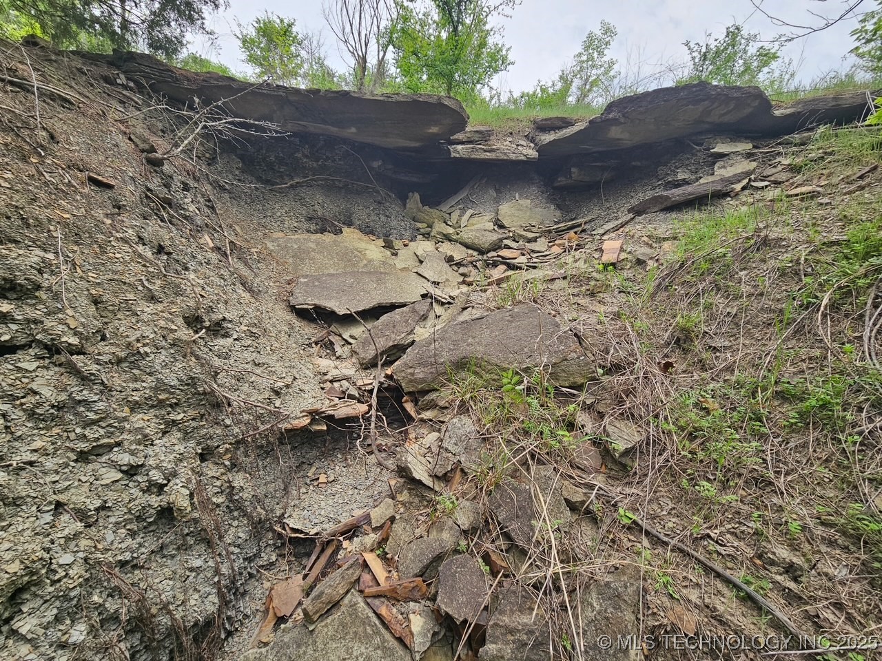 24 Holly Road Property Photo 3