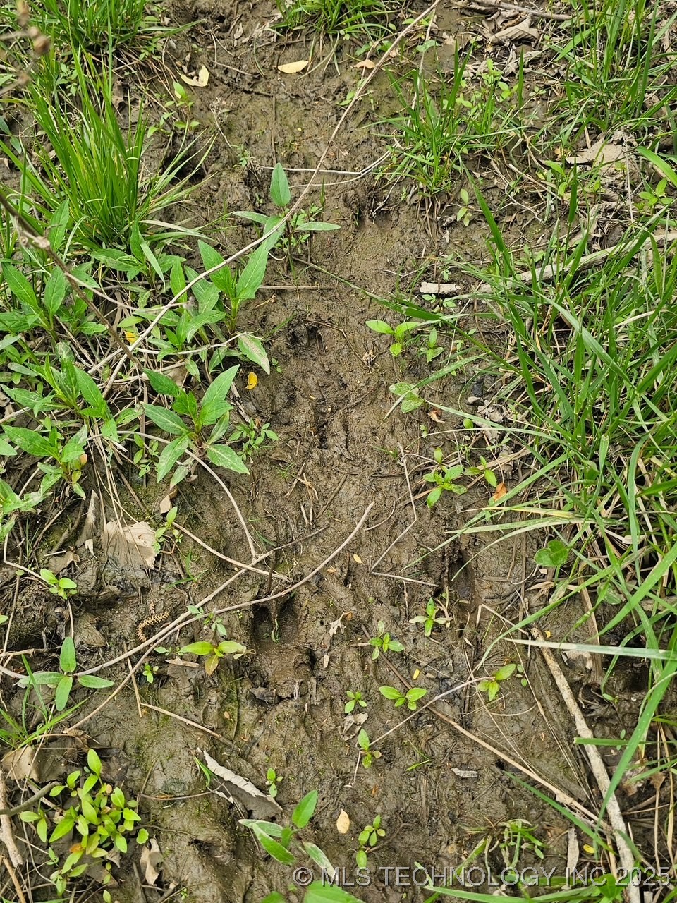 24 Holly Road Property Photo 4