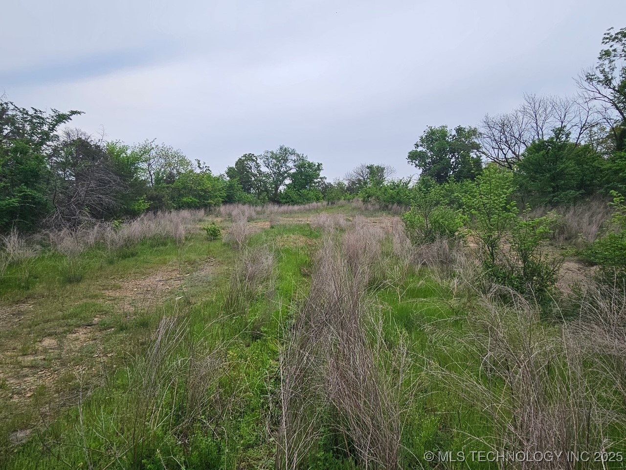 24 Holly Road Property Photo 5