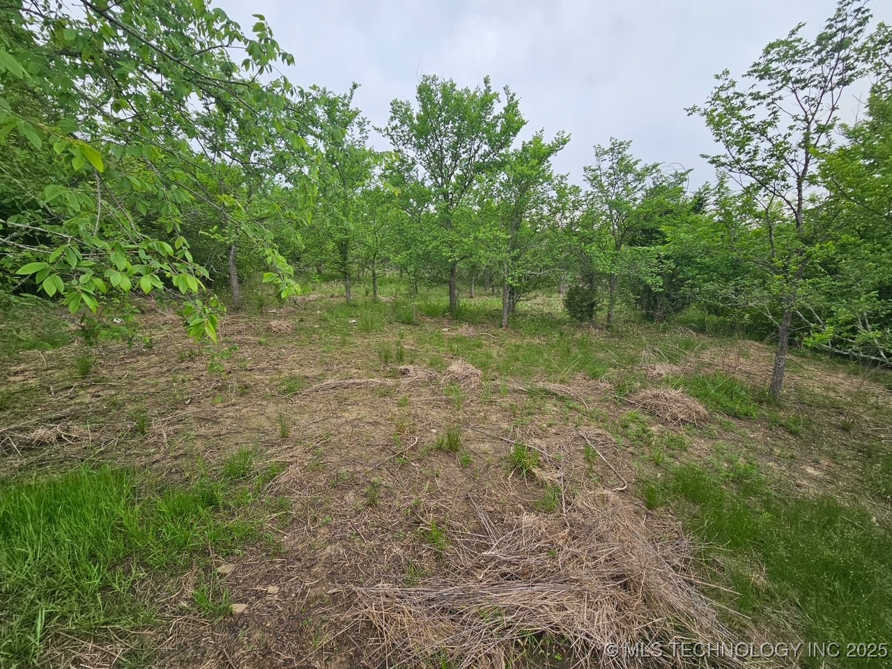 24 Holly Road Property Photo 6