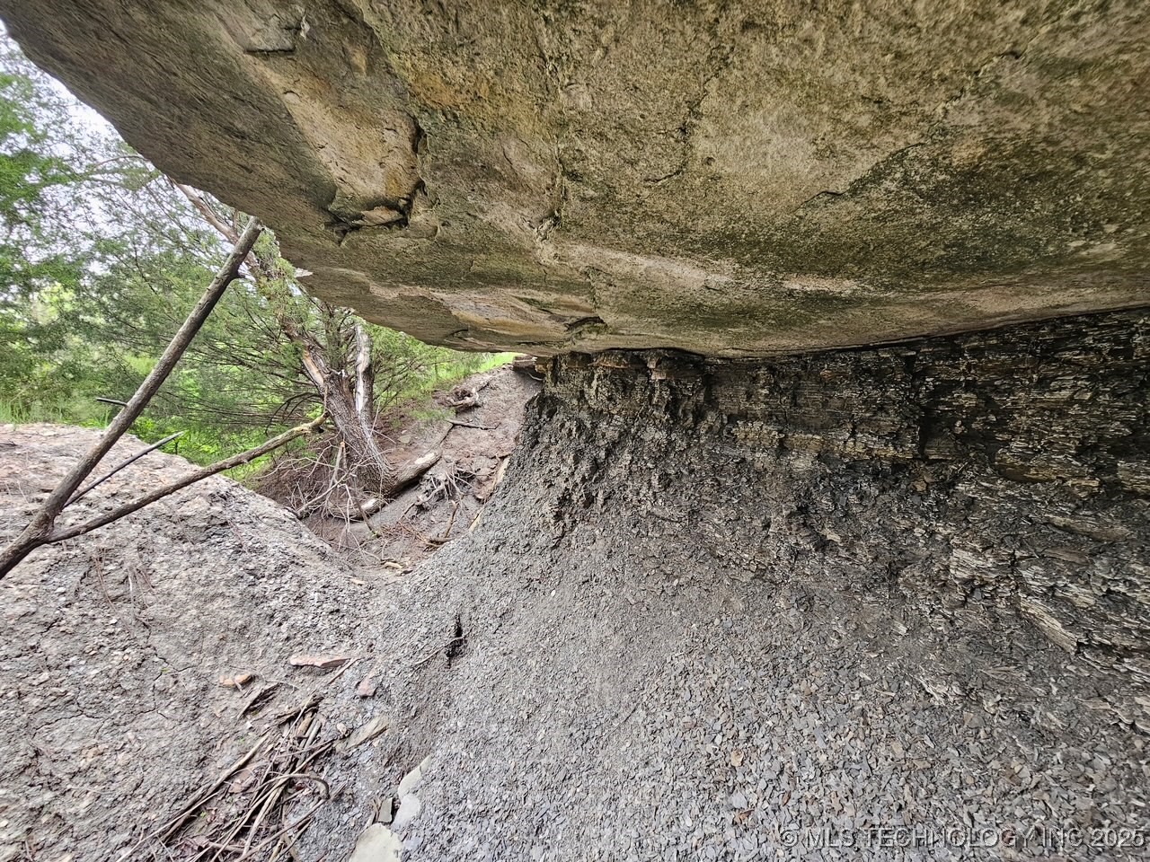 24 Holly Road Property Photo 7