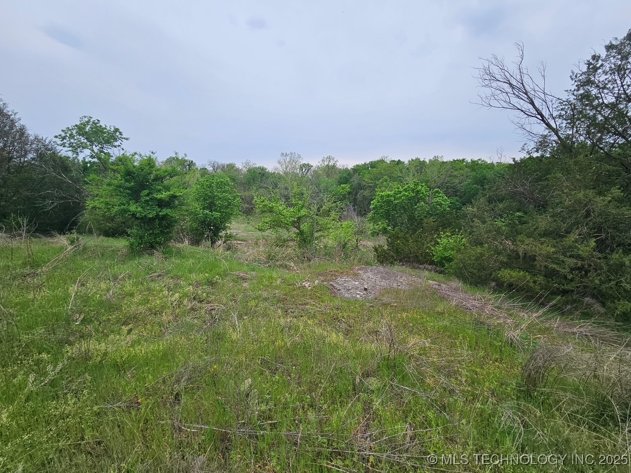 24 Holly Road Property Photo 8