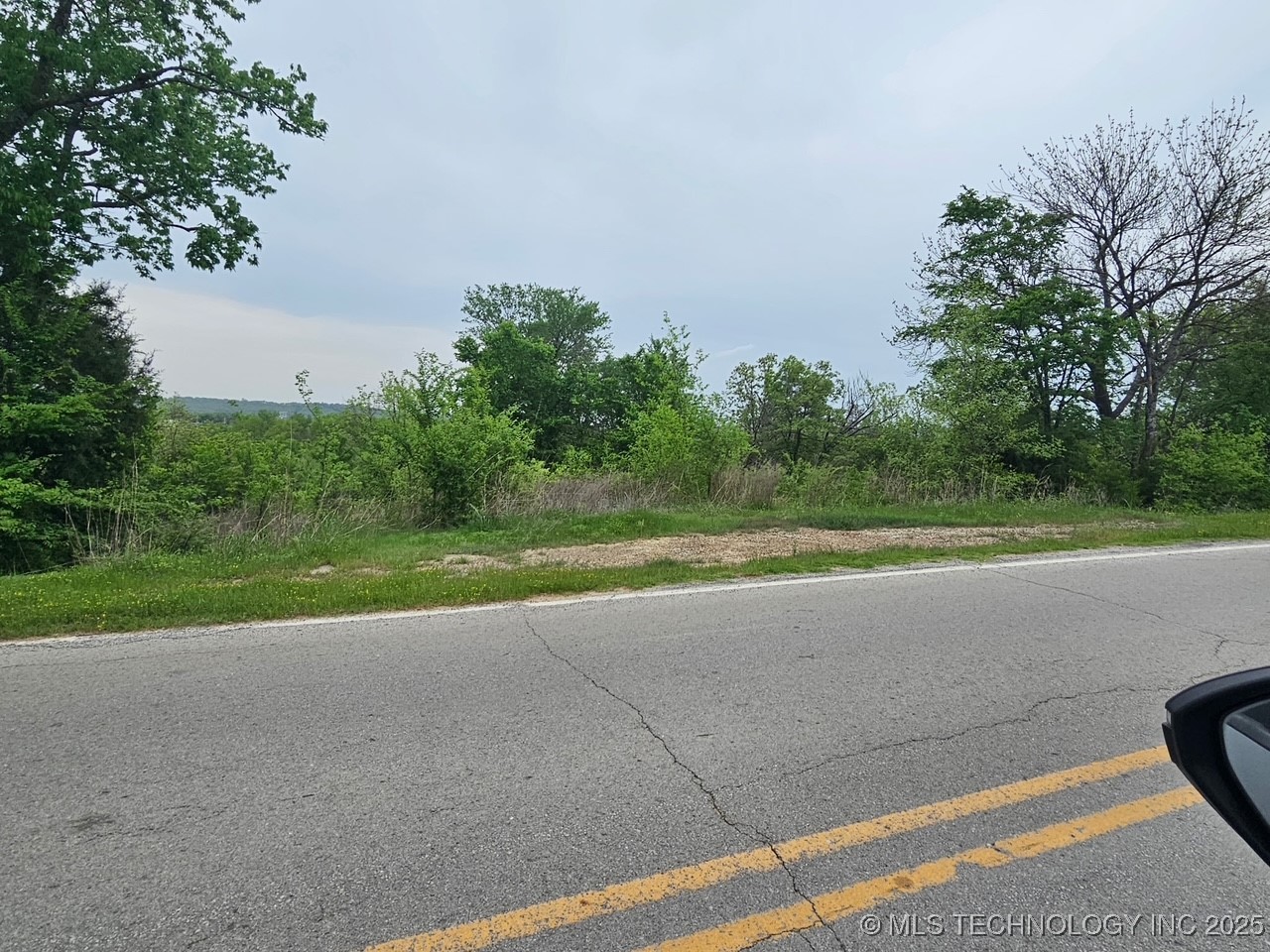 24 Holly Road Property Photo 10