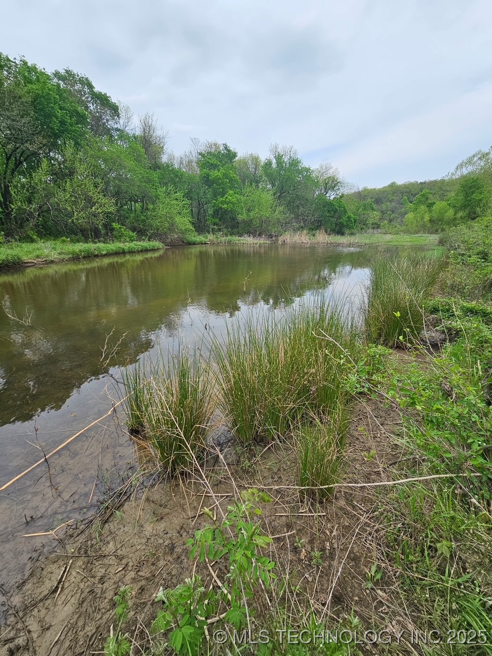 24 Holly Road Property Photo 11