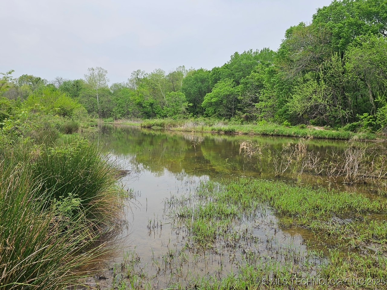 24 Holly Road Property Photo 12
