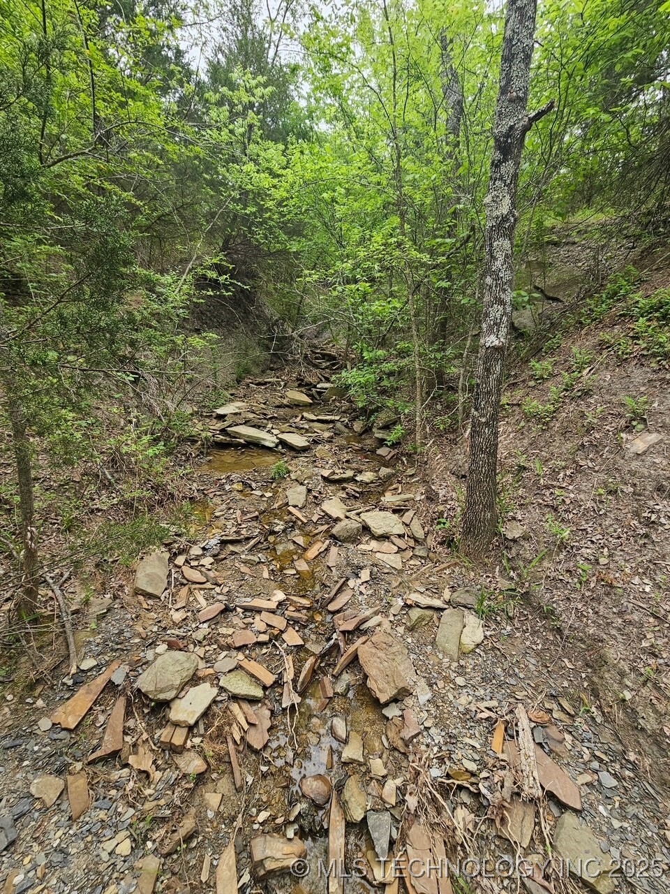 24 Holly Road Property Photo 13