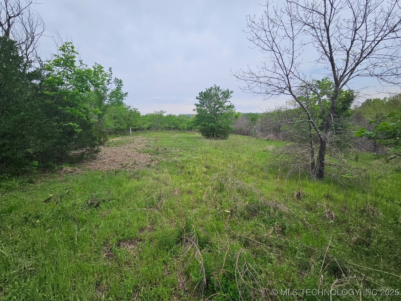 24 Holly Road Property Photo 14