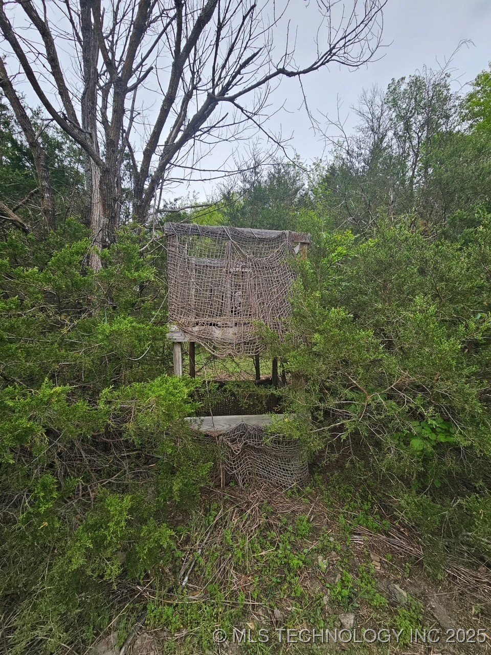 24 Holly Road Property Photo 15