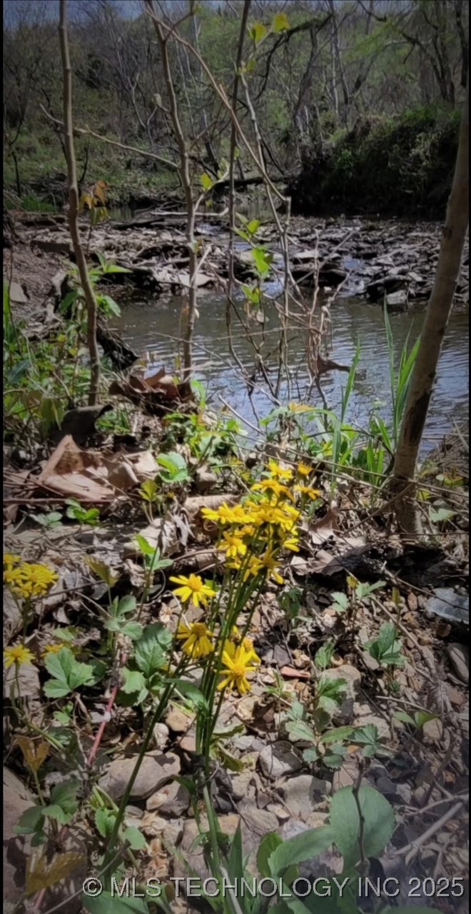 24 Holly Road Property Photo 16