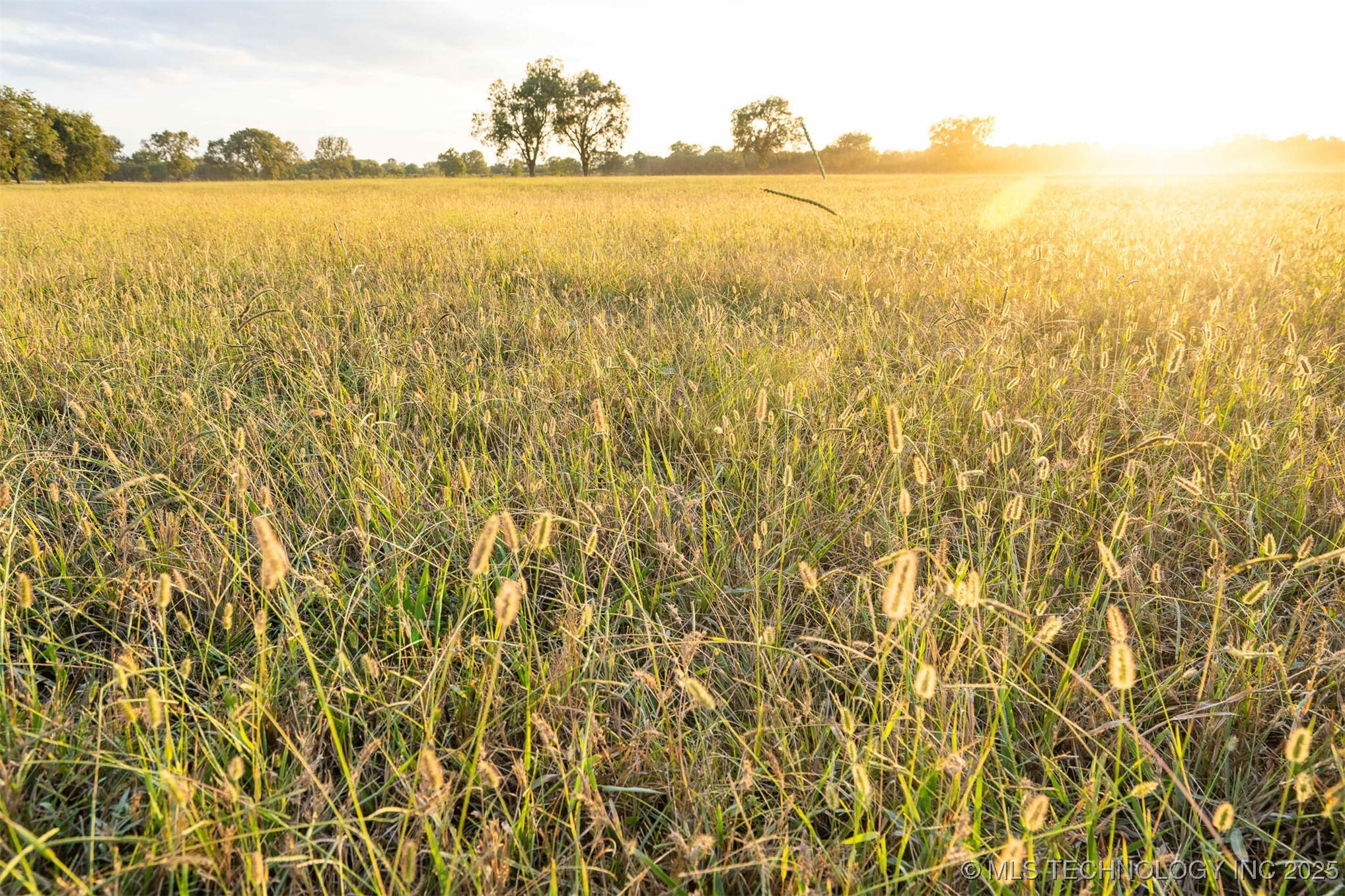 154th Street W Property Photo 29